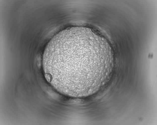 X0000090750069200708101734
