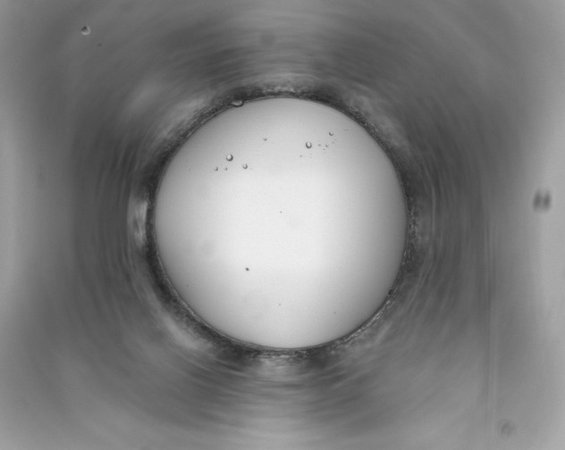 X0000090750070200708101734