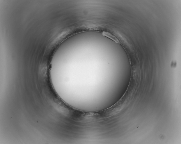 X0000090750072200708101734