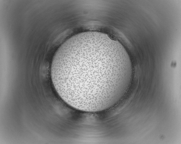 X0000090750073200708101734
