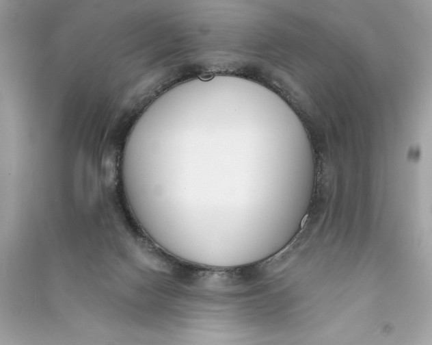 X0000090750074200708101734