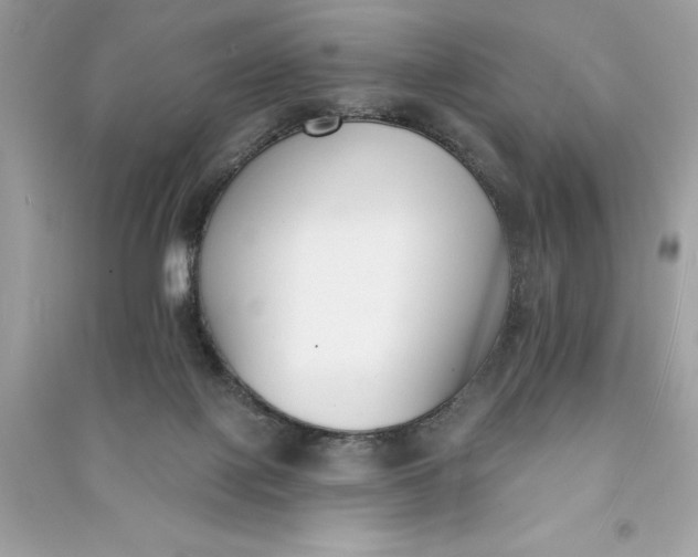 X0000090750075200708101734