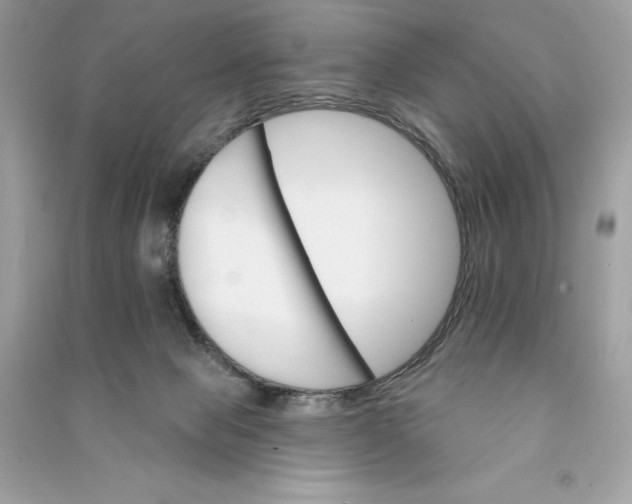 X0000090750077200708101734