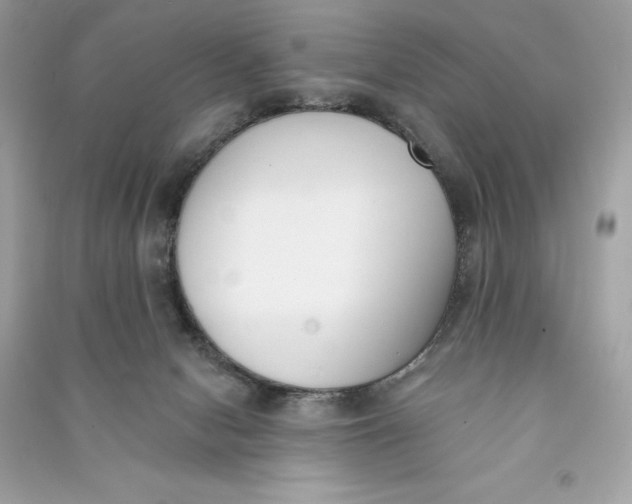 X0000090750078200708101734