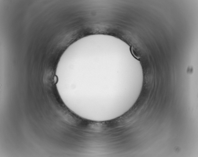 X0000090750079200708101734