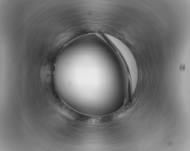 X0000090750080200708101734