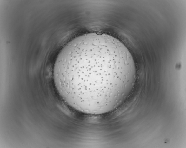 X0000090750081200708101734