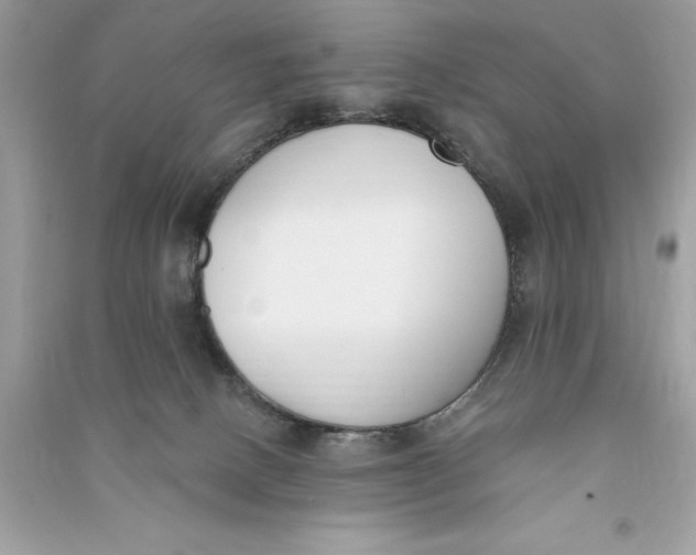 X0000090750082200708101734