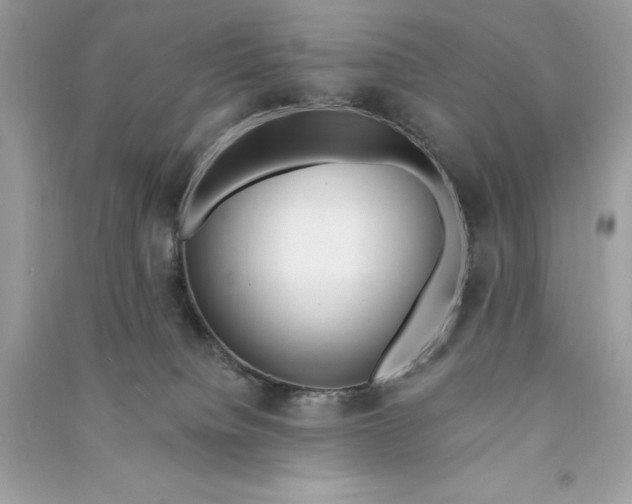 X0000090750084200708101734