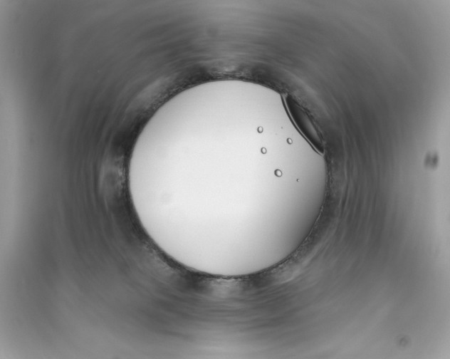 X0000090750085200708101734