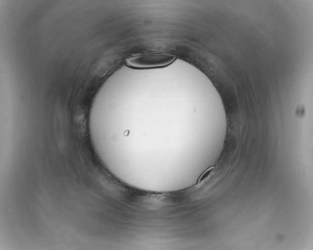 X0000090750086200708101734