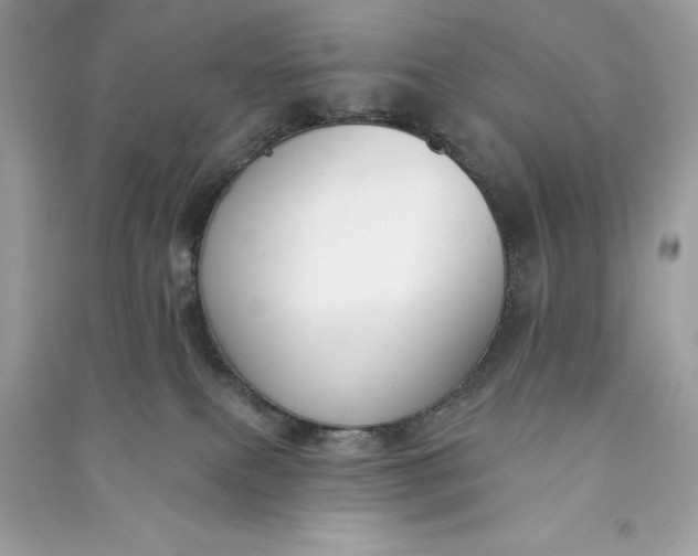 X0000090750087200708101734
