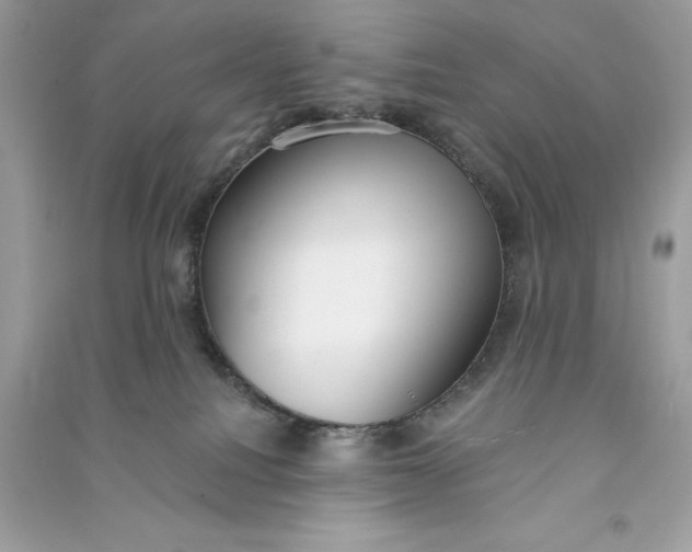 X0000090750088200708101734