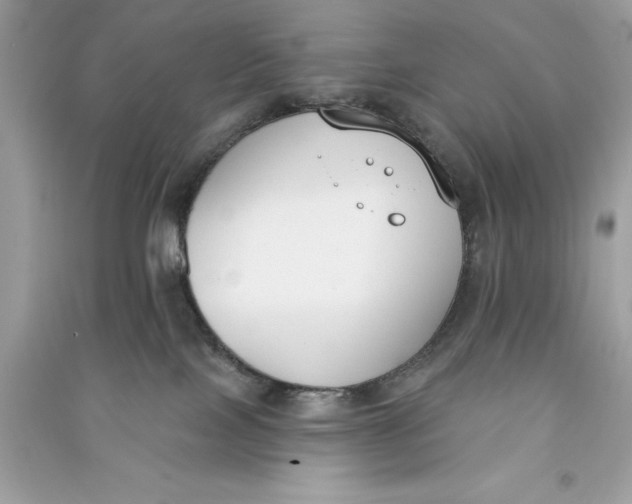 X0000090750089200708101734