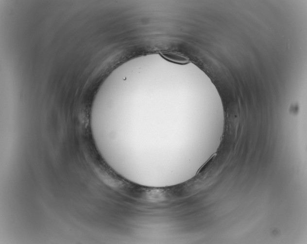 X0000090750091200708101734