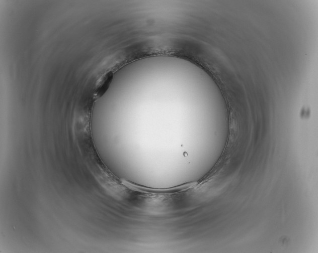 X0000090750096200708101734