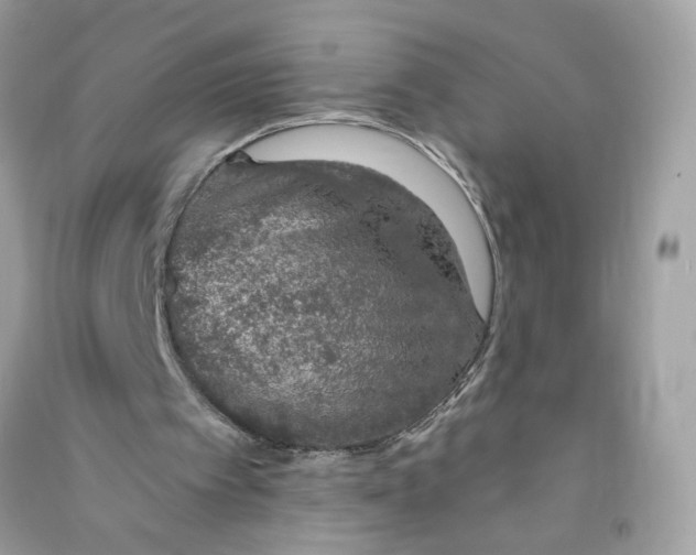 X0000090750097200708101734