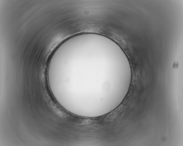 X0000090750098200708101734