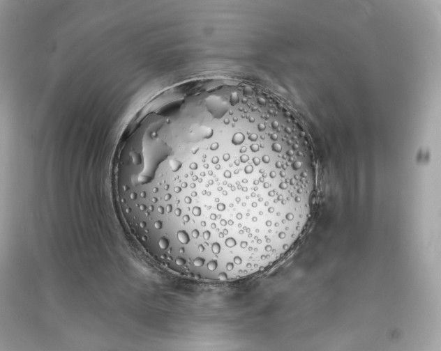 X0000090750099200708101734