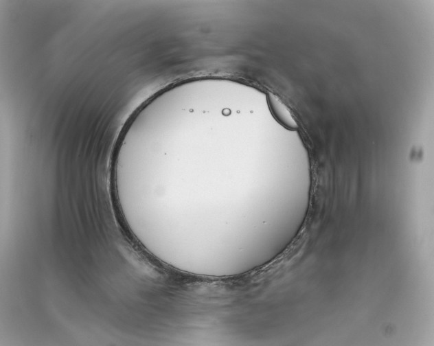 X0000090750100200708101734