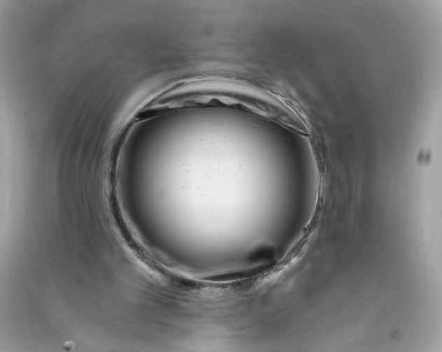 X0000090750101200708101733