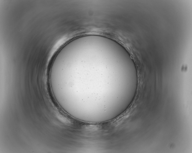X0000090750102200708101733
