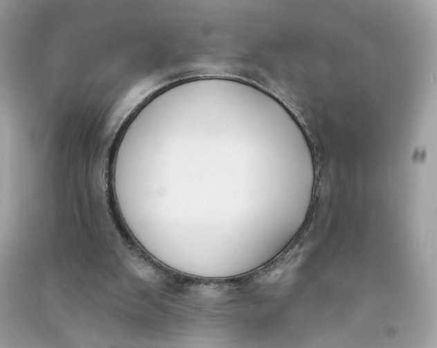 X0000090750103200708101733