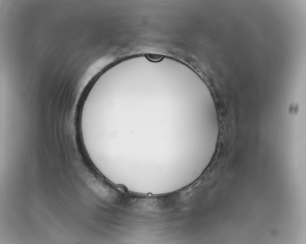 X0000090750104200708101733