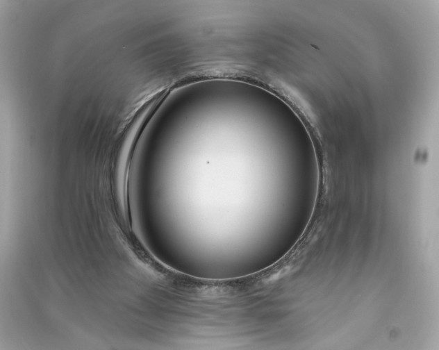 X0000090750105200708101733