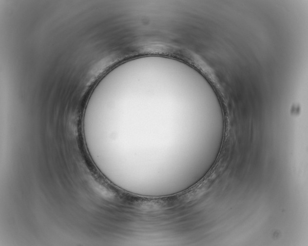 X0000090750106200708101733