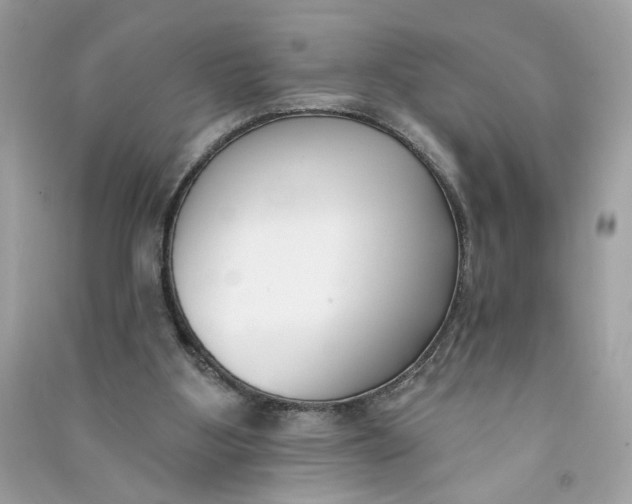 X0000090750107200708101733