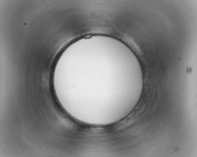X0000090750108200708101733