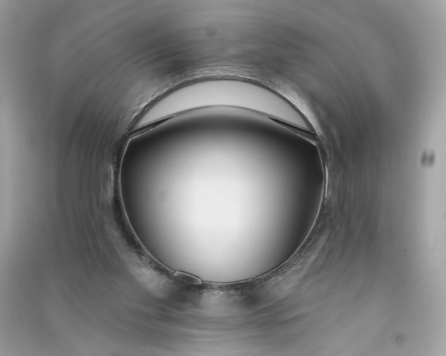 X0000090750109200708101733