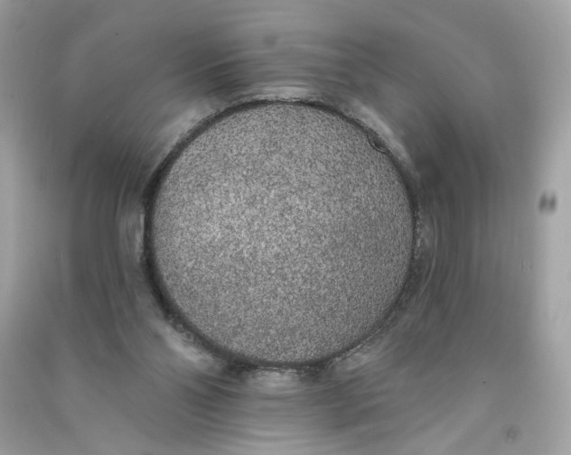 X0000090750110200708101733
