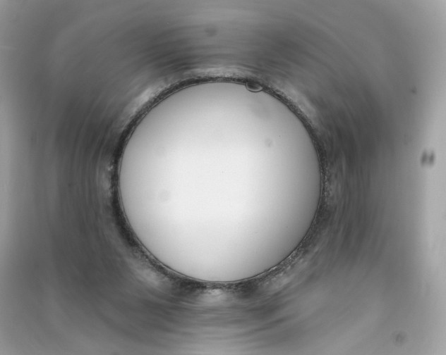 X0000090750111200708101733