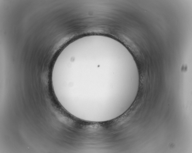 X0000090750112200708101733