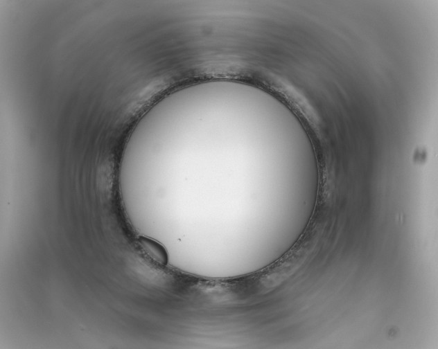 X0000090750113200708101733