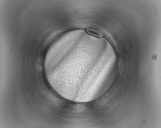 X0000090750114200708101733