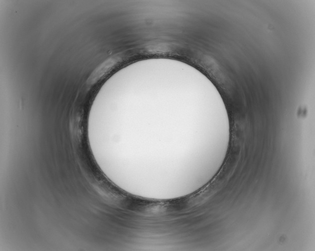 X0000090750116200708101733