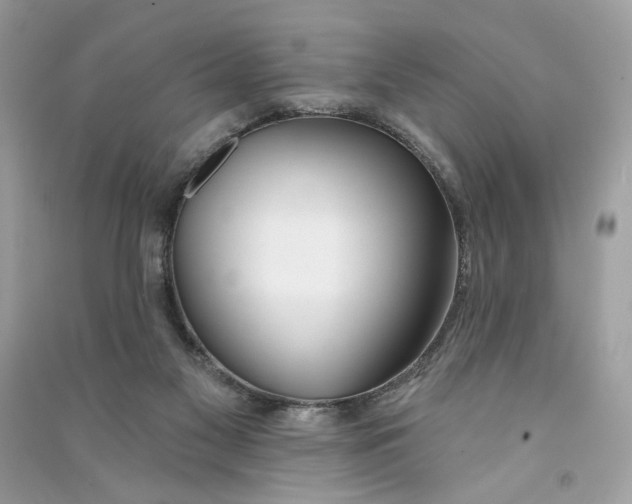 X0000090750117200708101733
