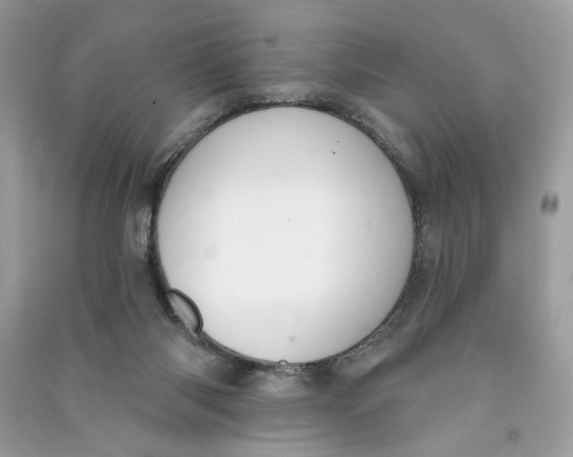 X0000090750118200708101733