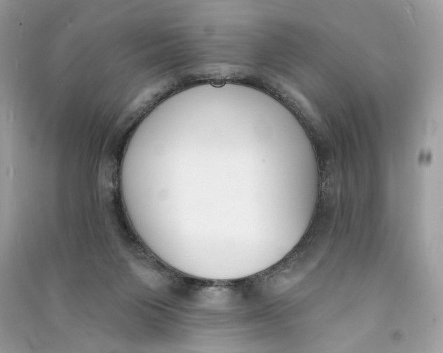 X0000090750119200708101733