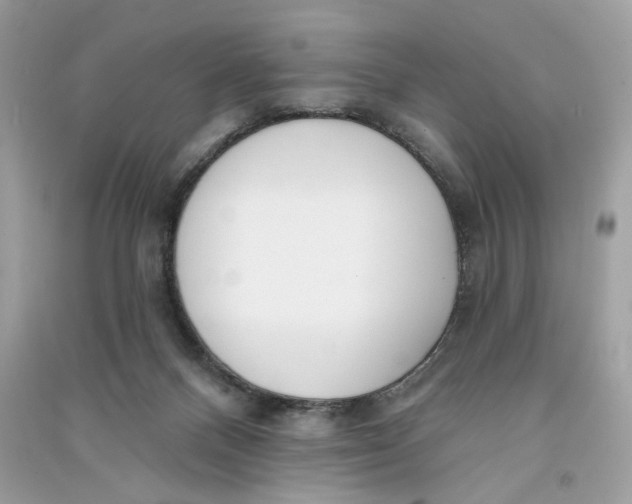 X0000090750120200708101733