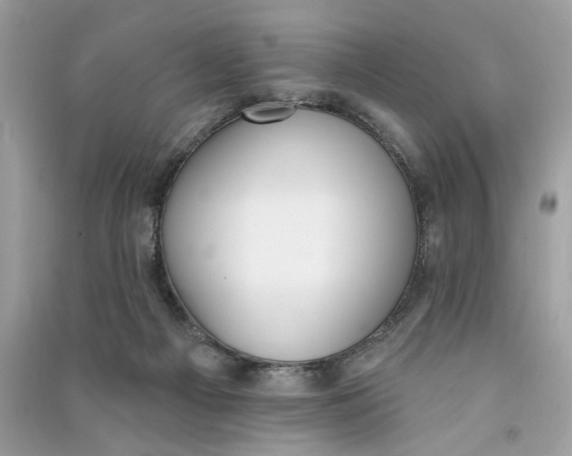 X0000090750121200708101733
