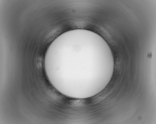 X0000090750122200708101733