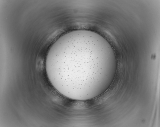 X0000090750123200708101733