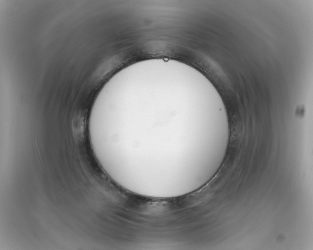 X0000090750124200708101733