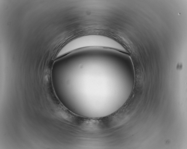 X0000090750125200708101733