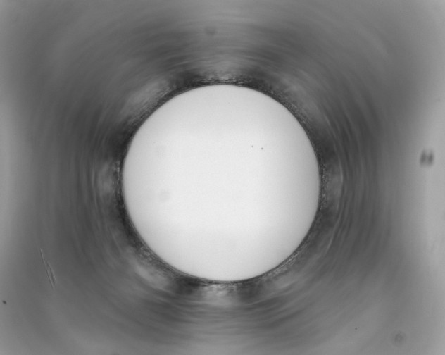 X0000090750126200708101733