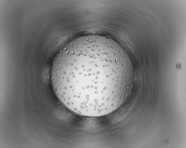 X0000090750127200708101733